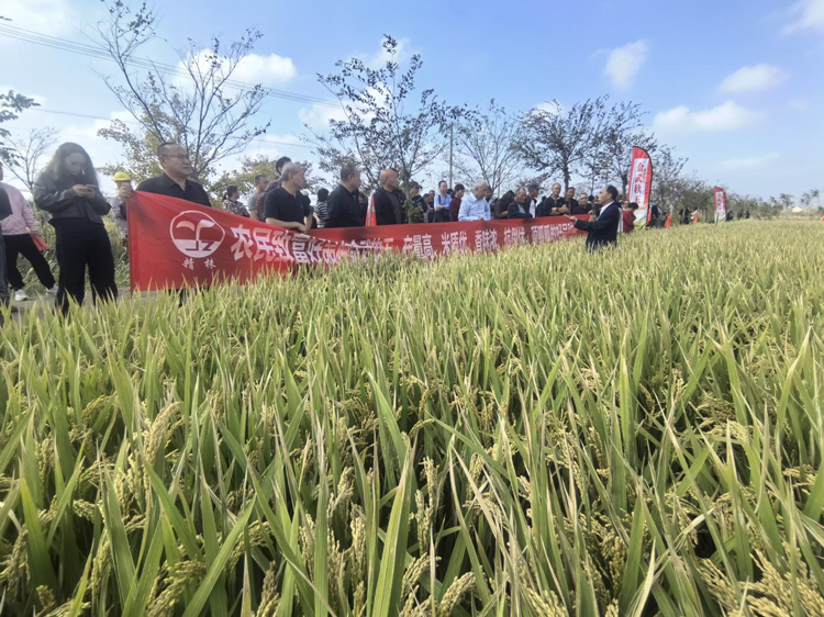 圖片2.png 圖片2.png